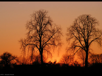COUCHER SOLEIL